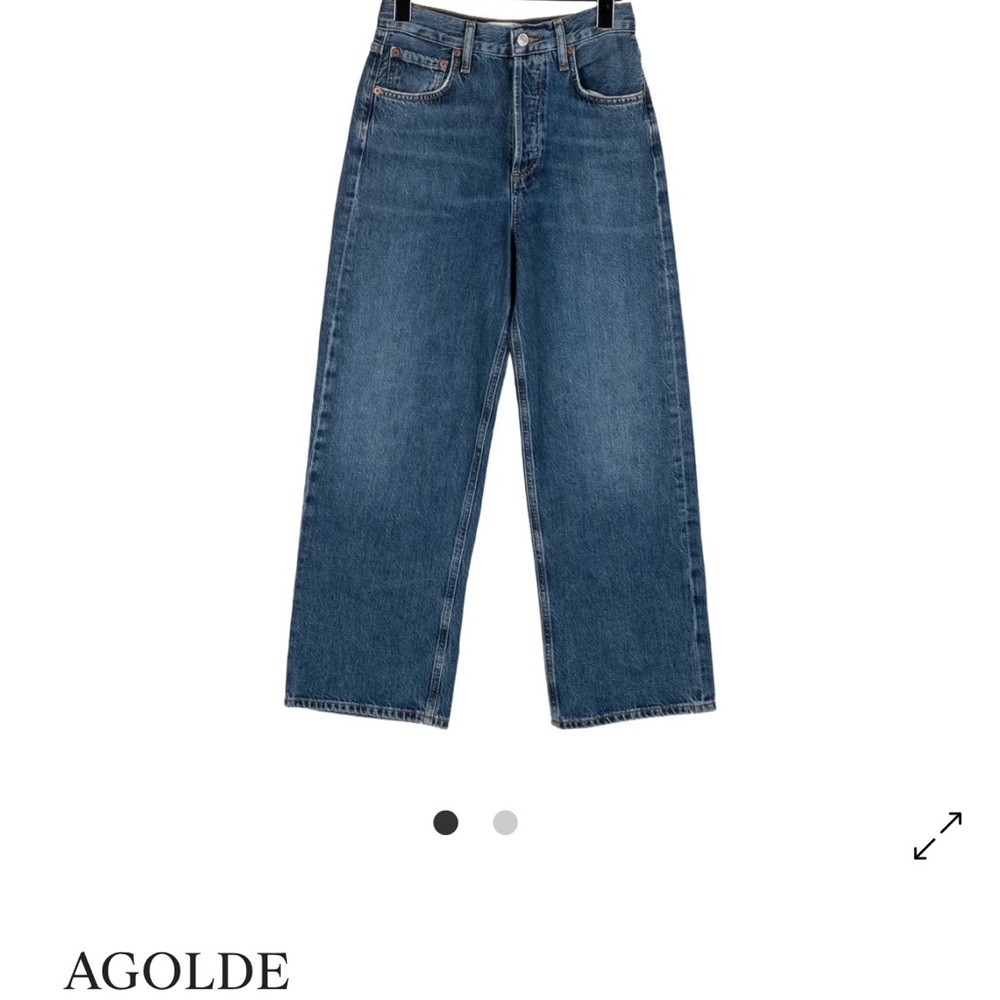 Agolde Ren Wide-Leg Jeans
